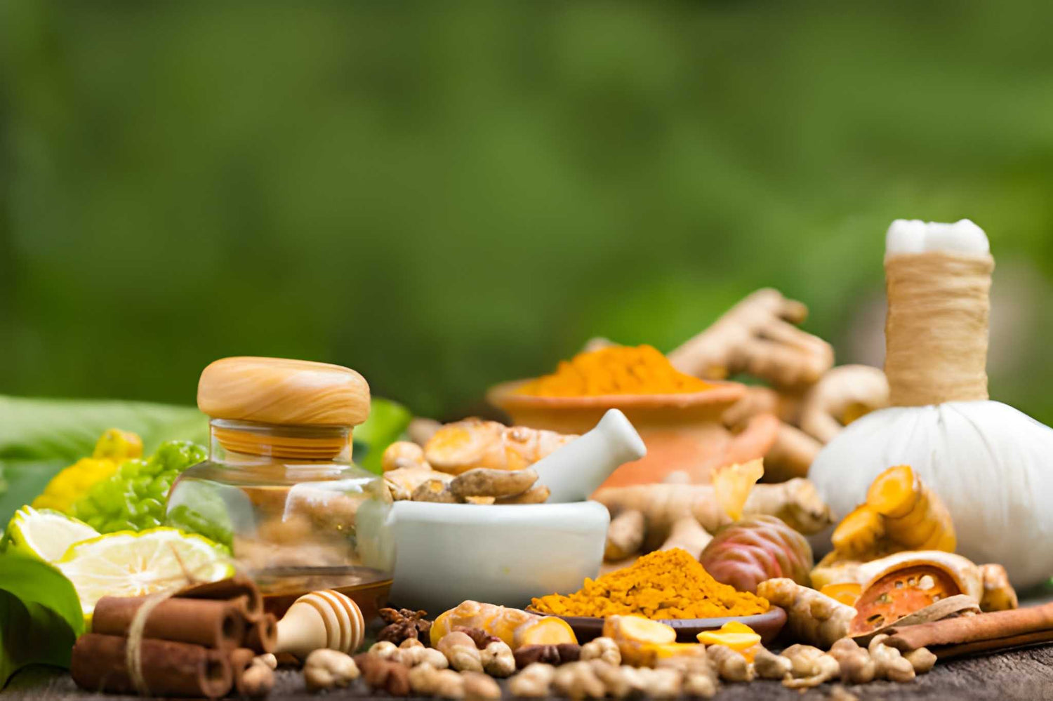  Ayurvedic Herbs